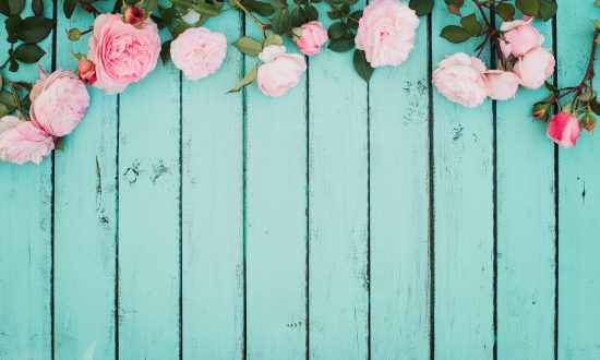 Pink roses on painted wood